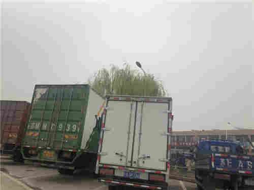 苏州市顺佳物流 专业连接苏州与浙江的大件运输服务专家