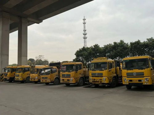 寒潮来袭，上海道路货运行业多措并举力保畅通